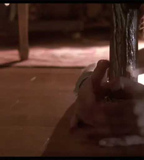 Image 2870352 from Madonna