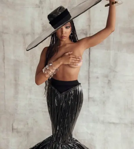 Image 2879262 from Tinashe