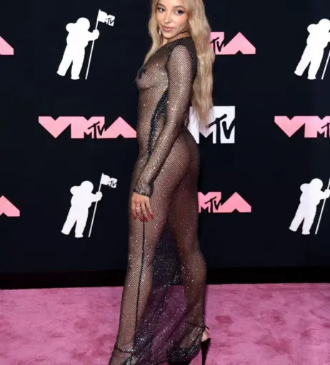 Image 2878593 from Tinashe