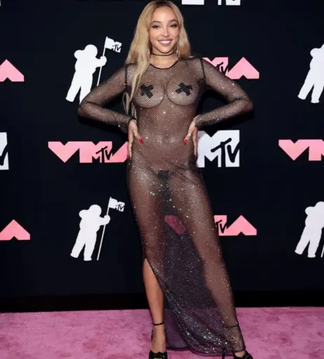 Image 2878615 from Tinashe