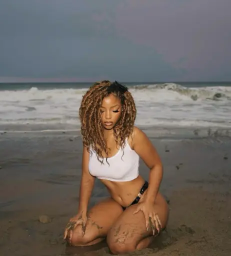 Image 2866779 from Chloe Bailey