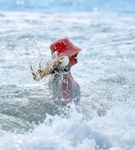 Image 2862513 from Elsa Hosk