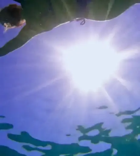 Image 2862038 from Valentina Pahde