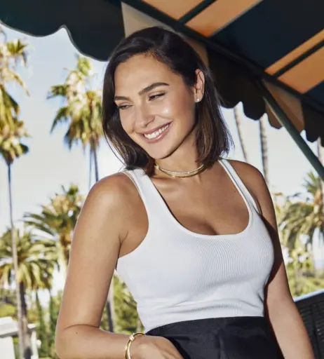 Image 2863429 from Gal Gadot