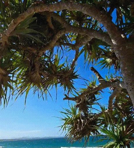 Image 2863225 from Valentina Pahde