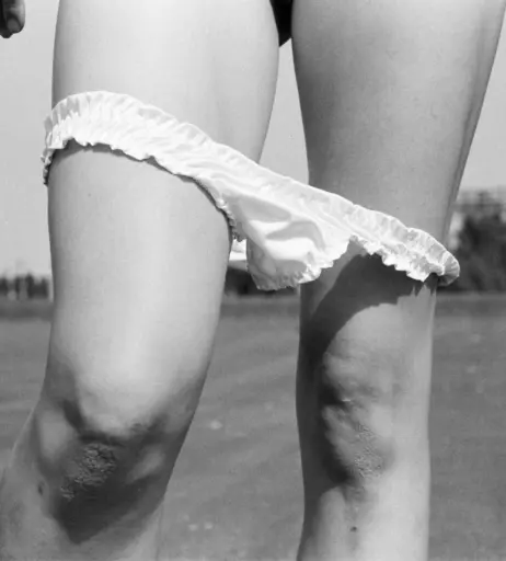 Image 2860211 from Kateryna Prekrasna