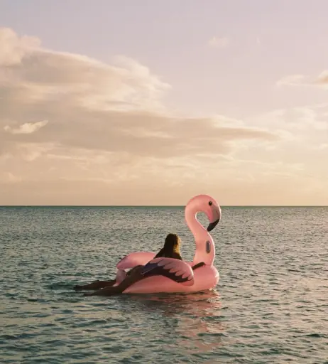 Image 2868295 from Elsa Hosk