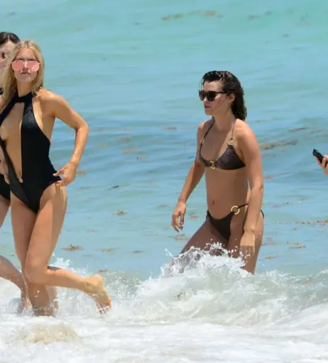 Image 2857404 from Joy Corrigan