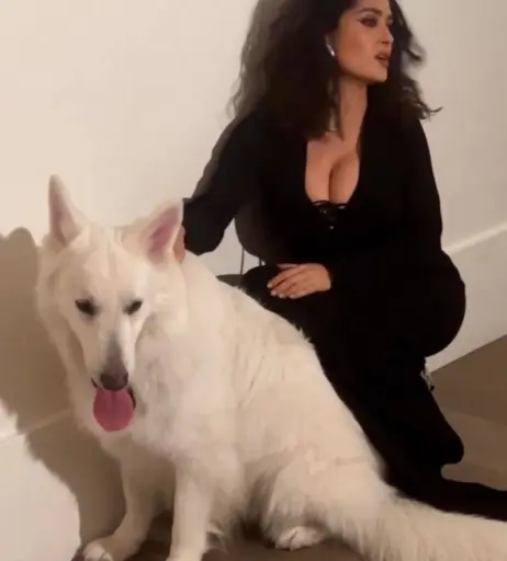 Image 2854399 from Salma Hayek