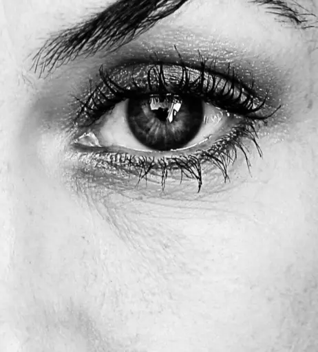 Image 2853590 from Tanja Lanäus