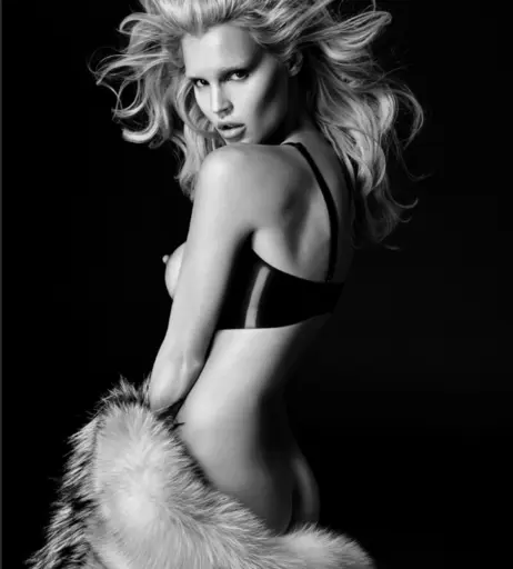 Image 2853785 from Joy Corrigan