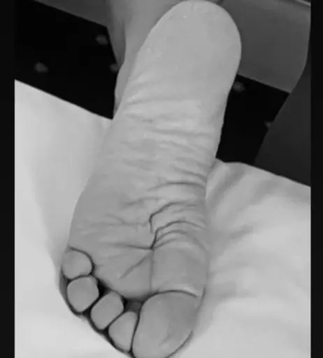 Image 2853195 from Tanja Lanäus