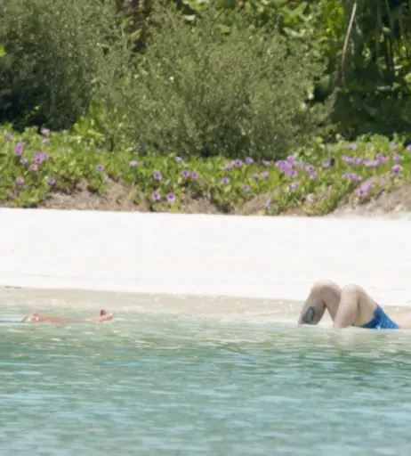 Image 2850217 from Katie Price