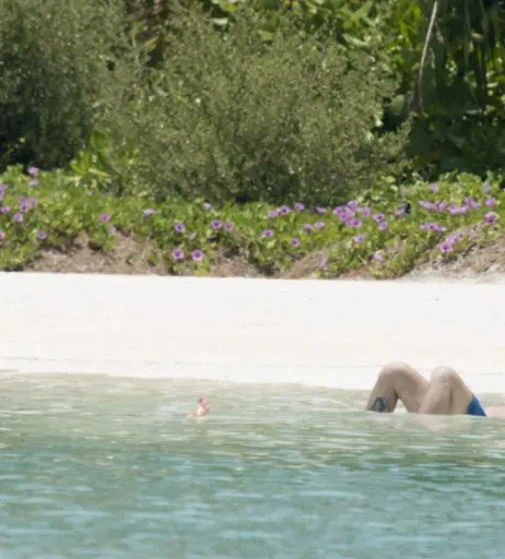 Image 2850236 from Katie Price