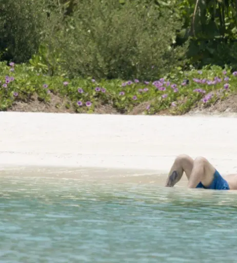 Image 2850229 from Katie Price