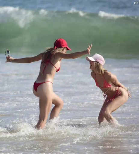 Image 2858397 from Joy Corrigan