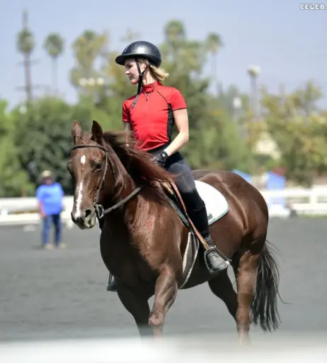 Image 2858300 from Joy Corrigan