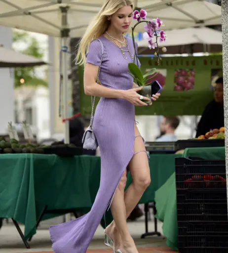 Image 2845168 from Joy Corrigan