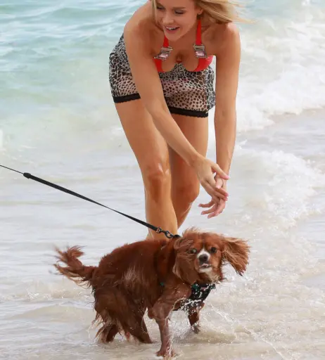 Image 2847271 from Joanna Krupa
