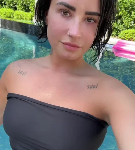 Image 2842459 from Demi Lovato