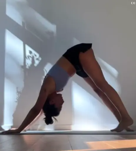 Image 2831848 from Vildan Cirpan