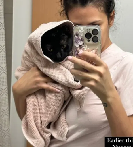 Image 2824045 from Alisar Ailabouni