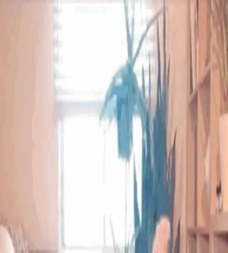 Image 2821852 from Eila Adams