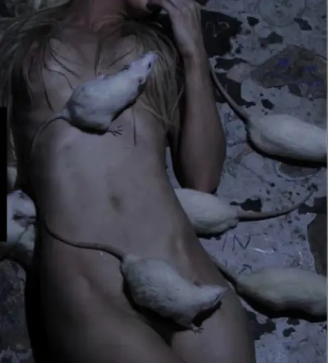 Image 2821875 from Yolandi Visser