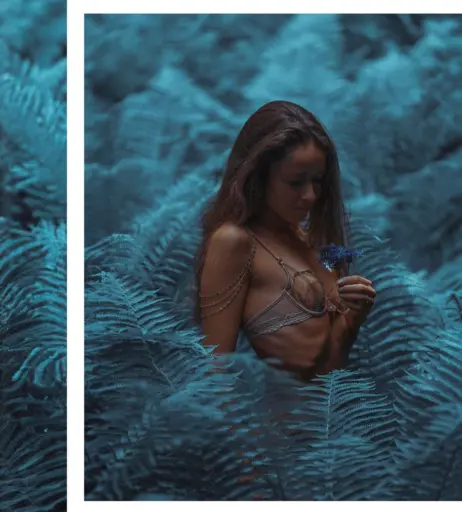 Image 2821537 from Juliane Seyfarth