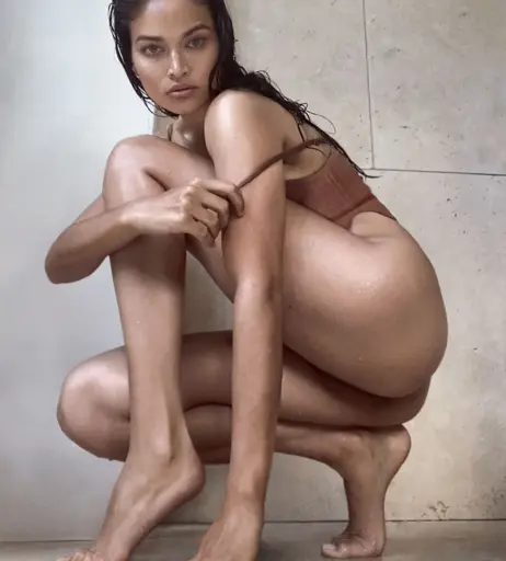 Image 2822527 from Shanina Shaik