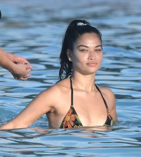 Image 2822654 from Shanina Shaik