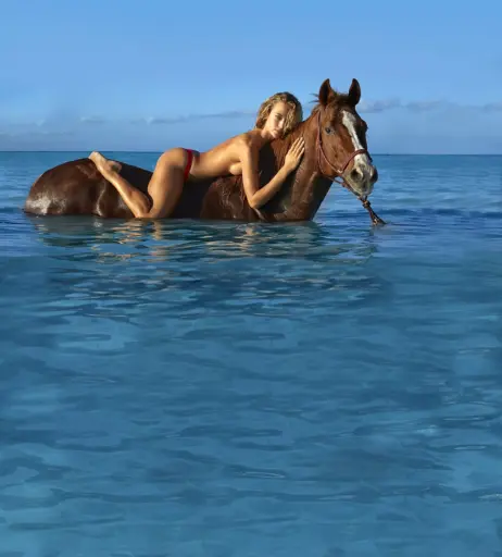 Image 2829163 from Hannah Ferguson