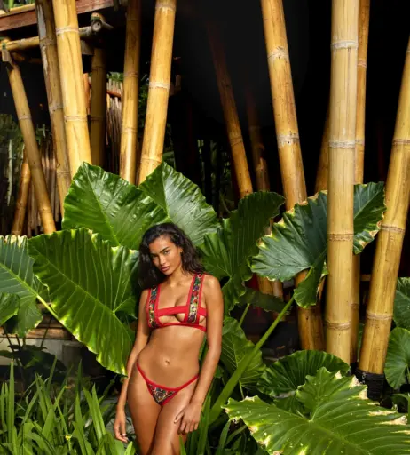Image 2828595 from Kelly Gale