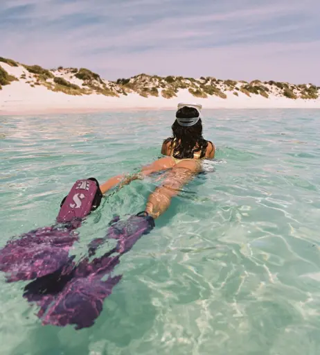 Image 2828436 from Kelly Gale