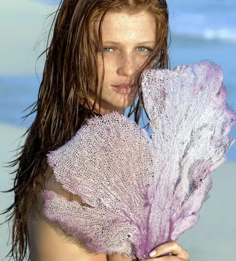 Image 2816728 from Cintia Dicker