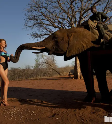 Image 2816987 from Cintia Dicker