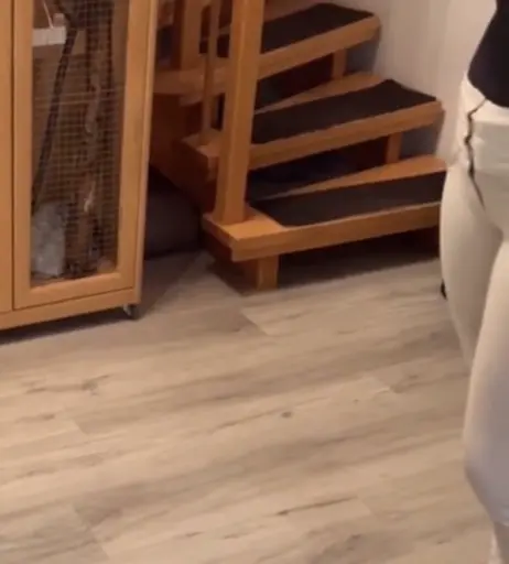 Image 2814413 from Josephine Welsch