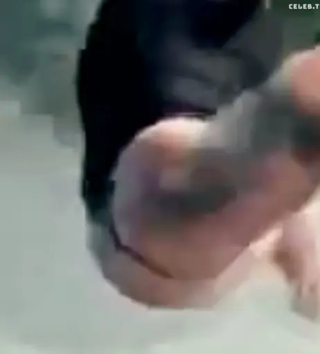 Image 2814721 from Josephine Welsch