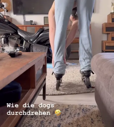 Image 2814368 from Josephine Welsch