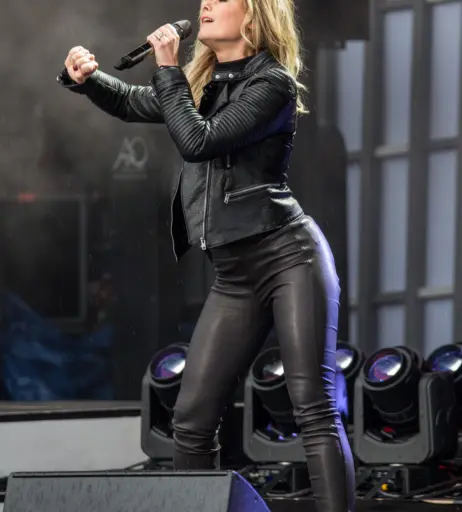 Image 2814963 from Helene Fischer