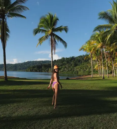 Image 2812568 from Vildan Cirpan