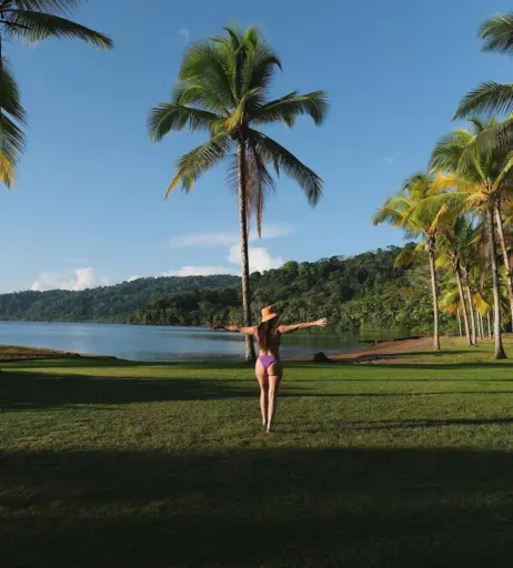 Image 2812562 from Vildan Cirpan