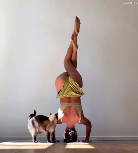 Image 2812438 from Vildan Cirpan