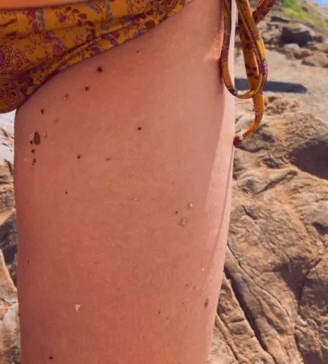 Image 2812081 from Clara Galle