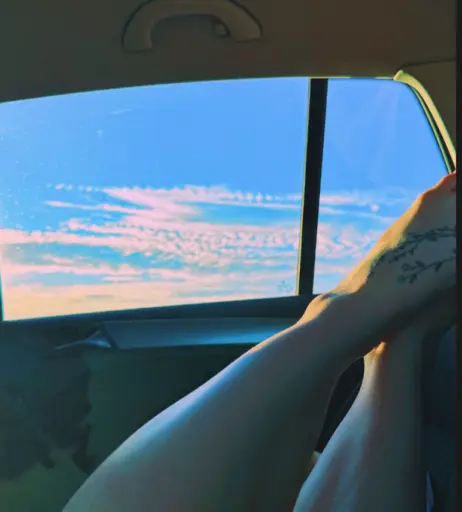 Image 2812047 from Clara Galle