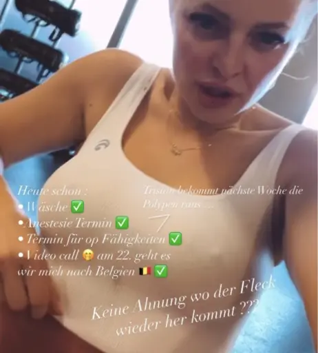 Image 2812365 from Josephine Welsch