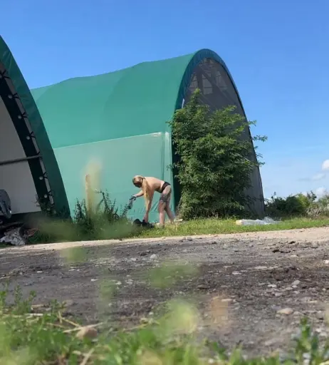 Image 2812908 from Josephine Welsch