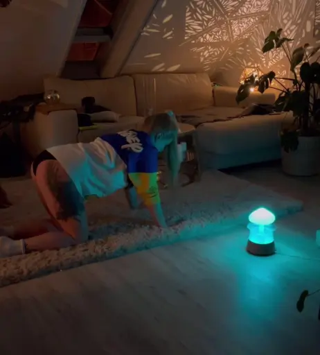 Image 2813890 from Josephine Welsch