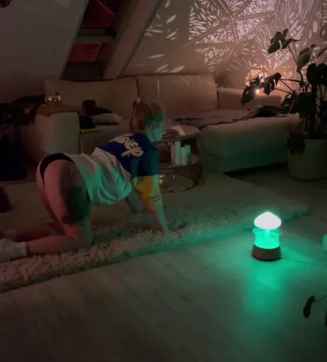 Image 2813895 from Josephine Welsch