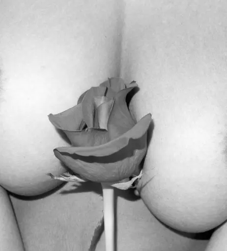 Image 2813802 from Ebonee Davis